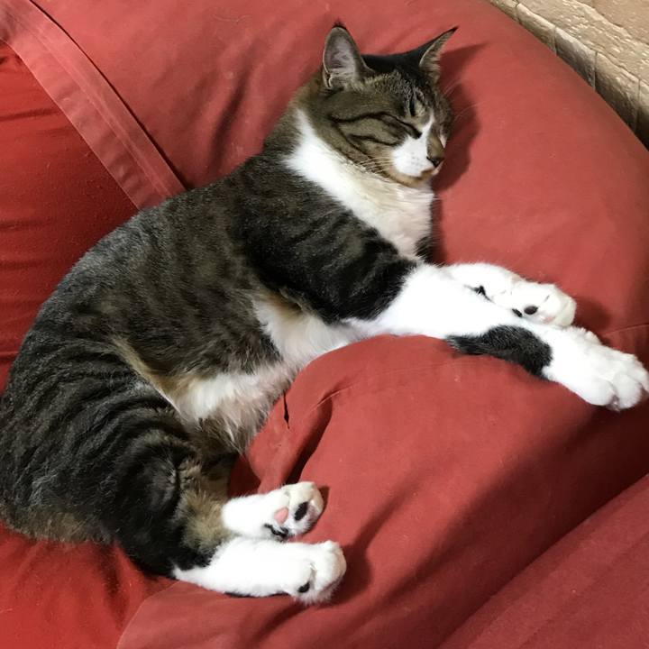 0f2ef5c4 3148 4eae aa17 cef249b9d43d