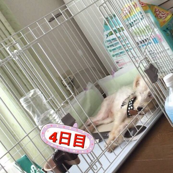 0f2fe95c e464 4121 b1c2 222979206a87