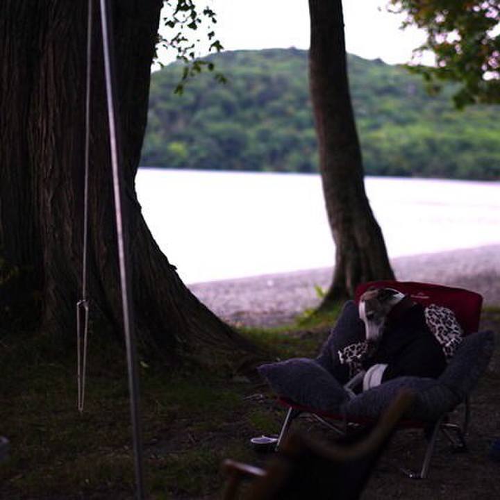 0f30577a b06c 4111 ba82 7a7b912738d6