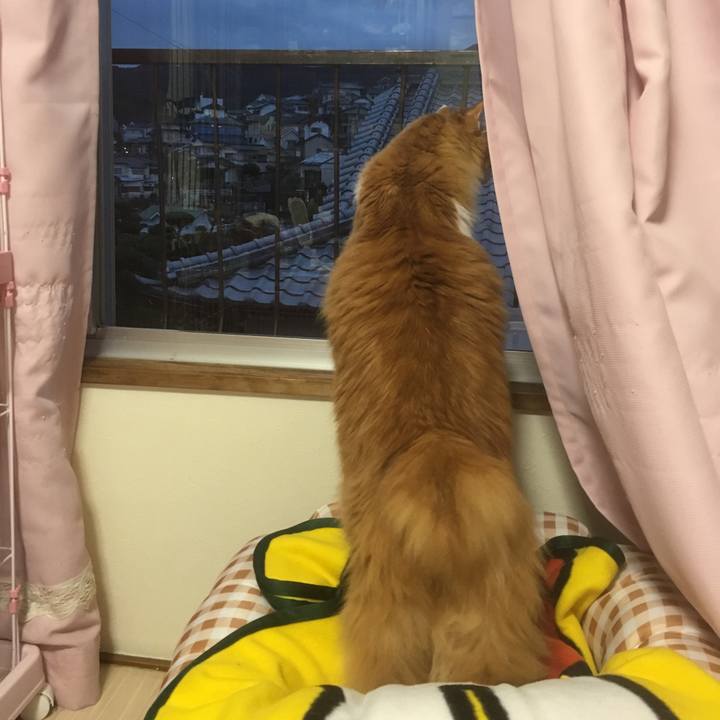 0f30b168 31d9 4305 a0bf aa90e82cc2a7