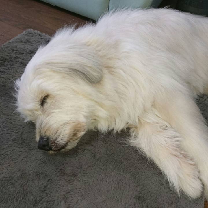 0f30eaa4 242e 4707 b32c 1edd7f59c5cb