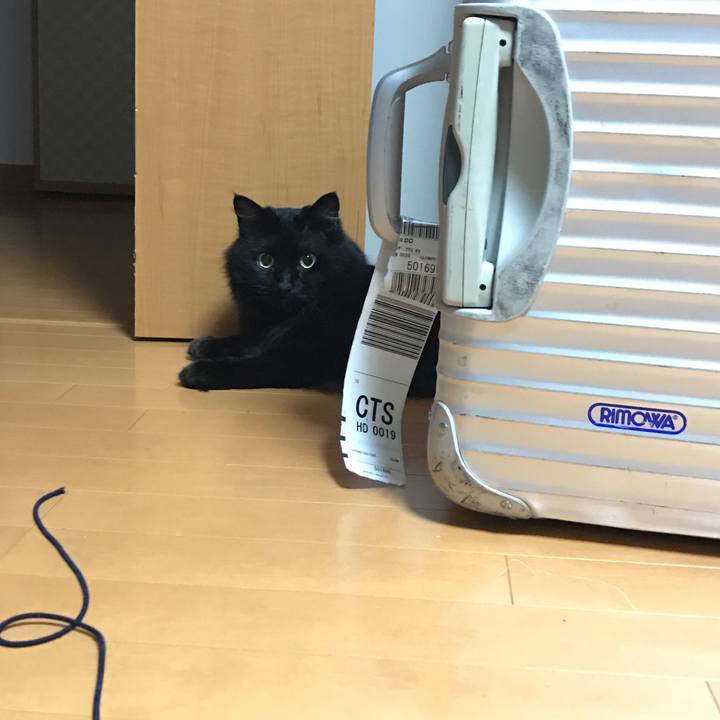 0f315d6a 4137 4126 8a86 5491e189273b