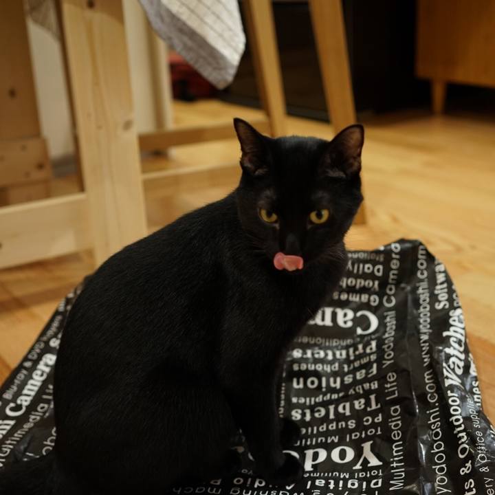 0f31606f 2a85 4f98 a9e2 f231b5a8a89a