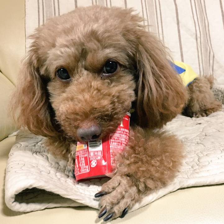 0f31a786 139a 478d a6df c6baf7e4b22c