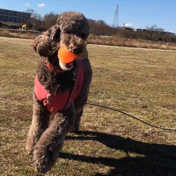 0f31f2b7 a319 402c b469 12d3352bb018