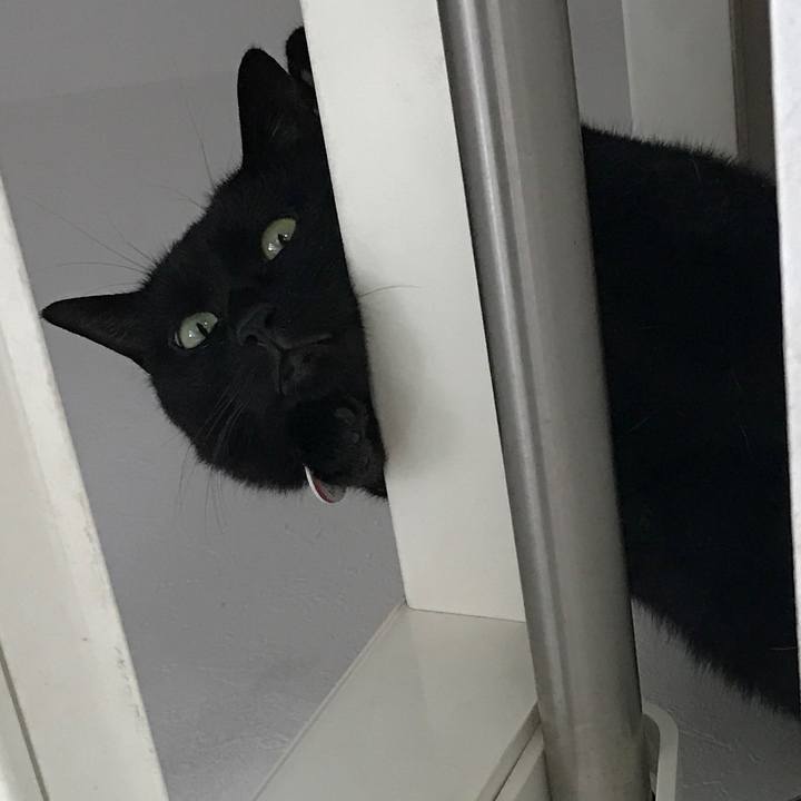 0f3209ef 0871 4750 9926 8c9a84d918d9