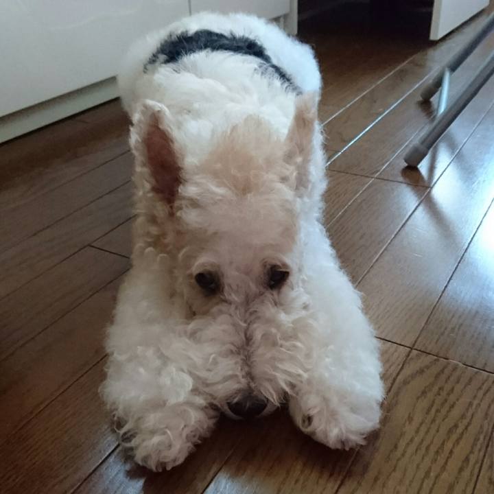 0f3235c2 0d31 4906 a608 b8758606951e