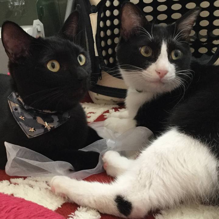 0f324da5 af54 4b03 99ce ba76eed69a7c