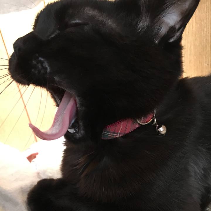 0f327c8a b887 4bd8 a9c0 8cf29848f7bc