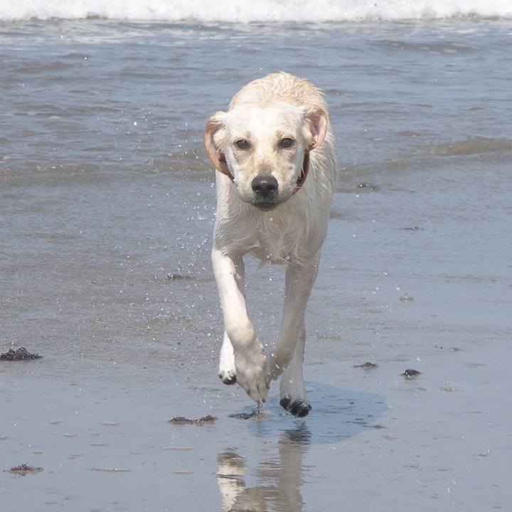 0f3281d7 e3e4 40df 8d4a b98e6ba2310b