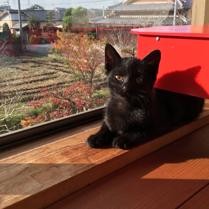 0f3326b4 9c5d 4b7c b7f8 c08e5ac9b722