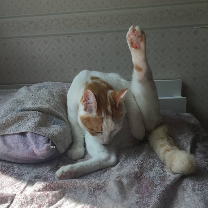 0f336fc8 4587 48c7 b8a9 1d49aeb635ab