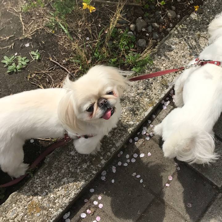 0f3409d2 275c 4407 bc10 82063b8802d8