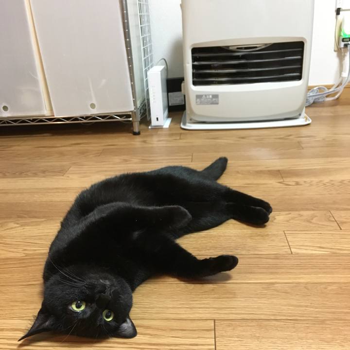 0f340cfc aebc 45a2 bcd3 2ae1c414d8be