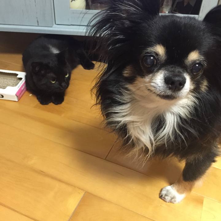 0f3478cd 5798 4397 ad82 cc0143c325e6