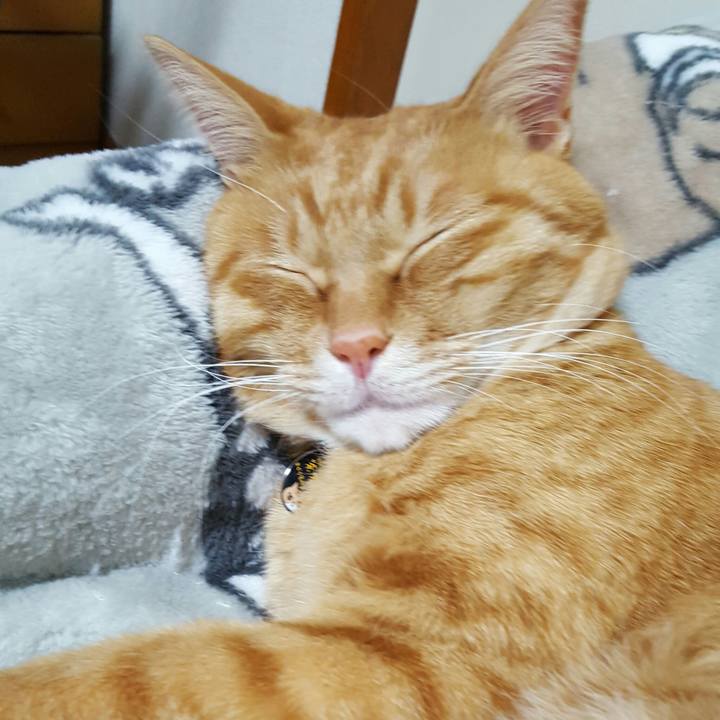 0f3555ba 8c53 4dda b11a 1decf1787cb7