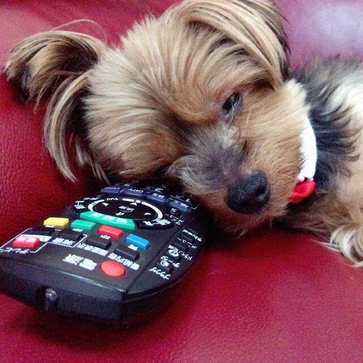 0f3571f2 9758 4a35 9980 ea6e1cfcc4d6