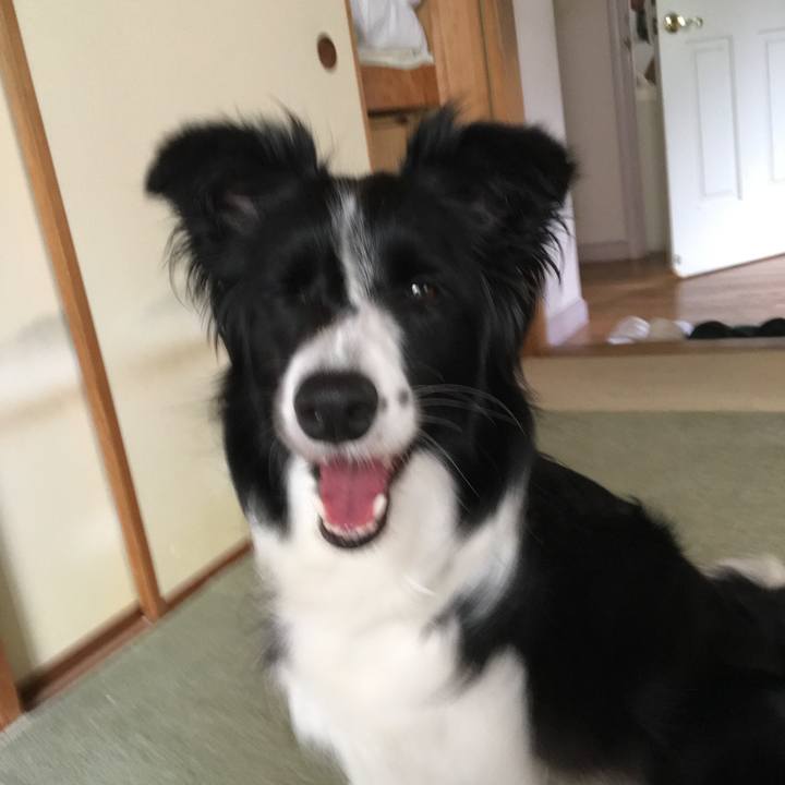 0f35dbd8 5f71 4a07 b606 454d599e8a24