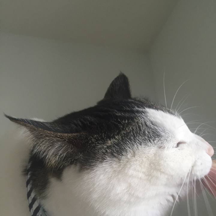 0f361b4e fb96 427e 8e5b 241da525d12c