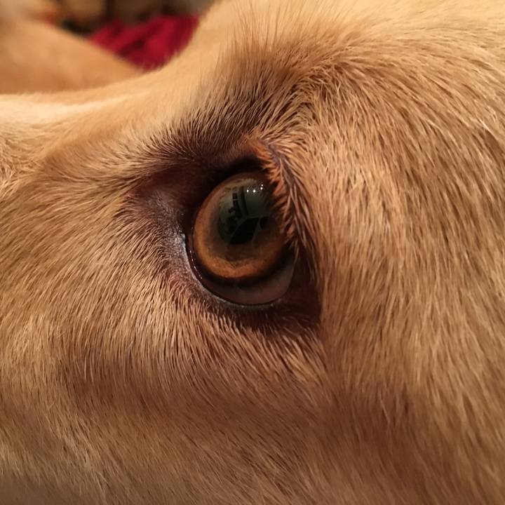 0f361ecf ea3d 4cac 9e3f 01894c7d216b