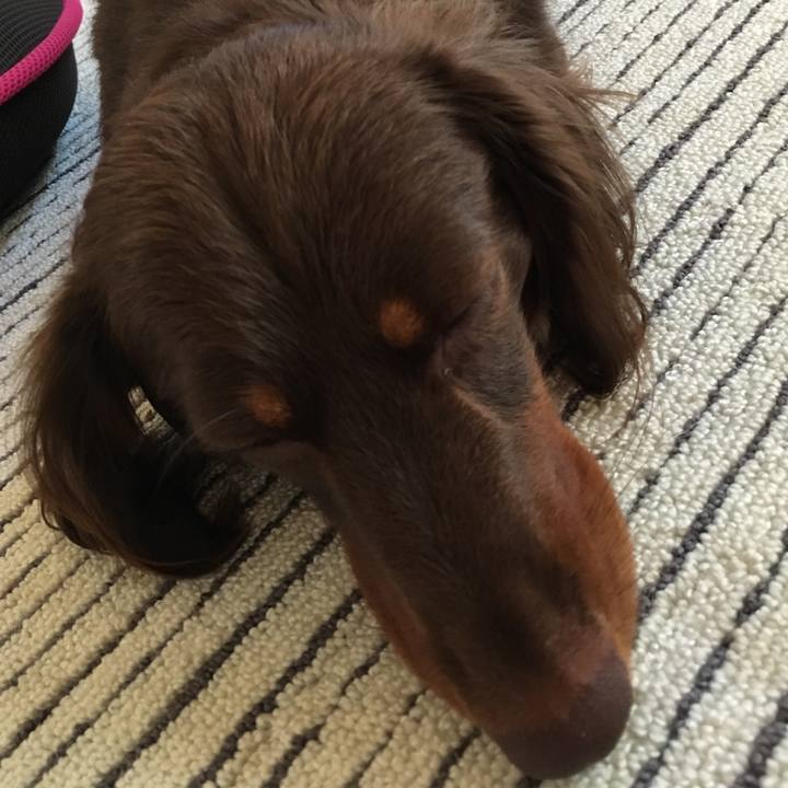 0f3641a8 0945 4d9a afbc 22cf3b3a28f6