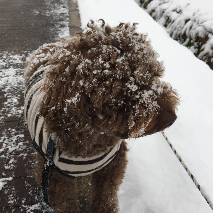 0f36664d deae 4d79 ba43 be9250bbedaf