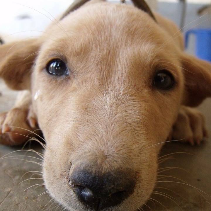 0f367cc6 15f7 4190 bdf9 029c43ba49e1