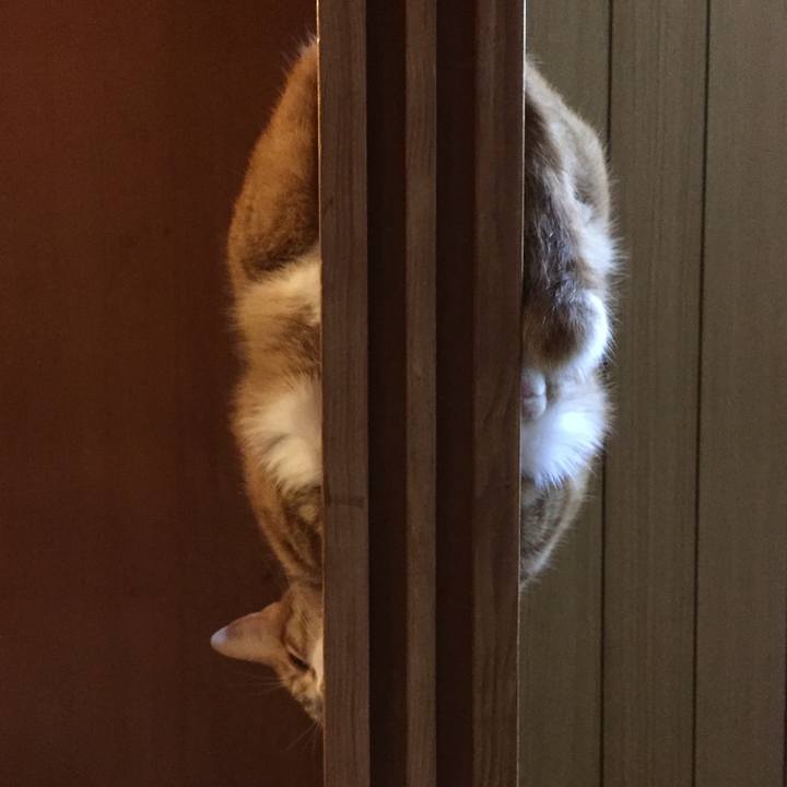 0f369b1d dd0d 432f 8354 e5479d5bba65