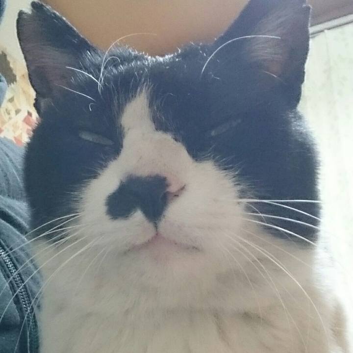 0f378f0f 4409 4dbc a743 3b94043f94e4