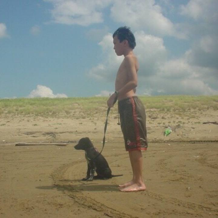 0f37d02e f41e 484f 83c4 ddaef2b6fedf