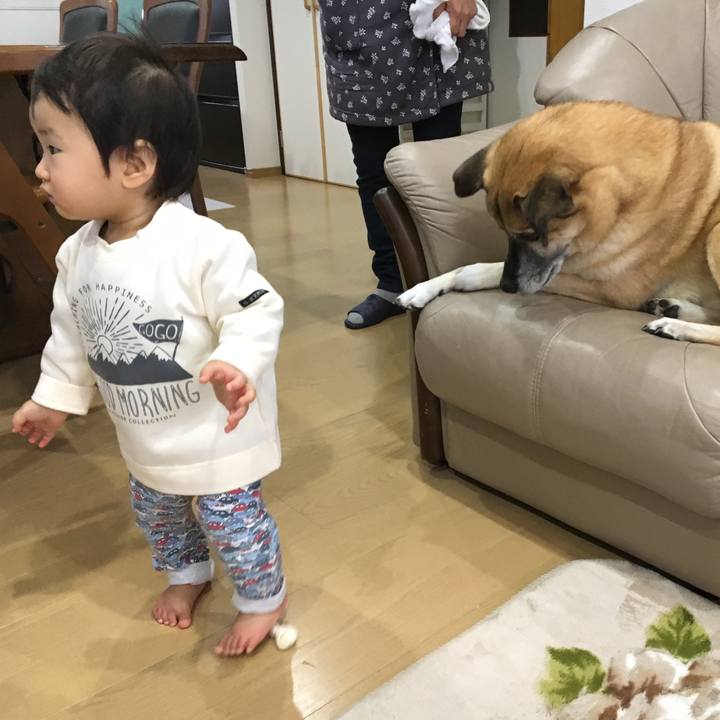 0f3814aa b1af 4858 82ec ddd59fe3dfec