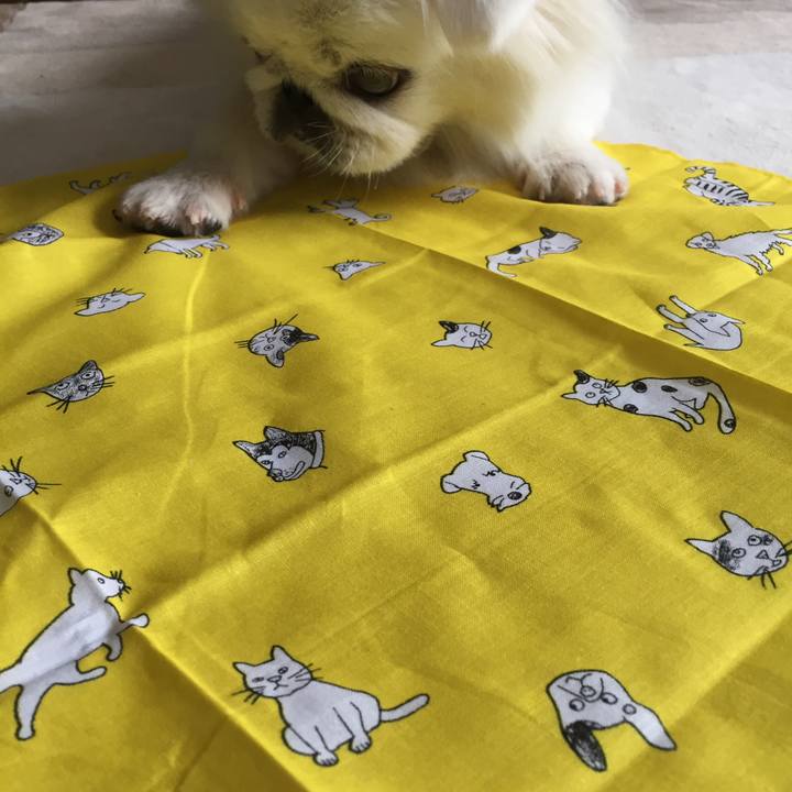 0f38bb5b 50d9 4276 adc4 73d9df7ea816