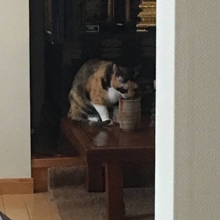 0f390295 9b68 44e6 902c ce87a43363f2