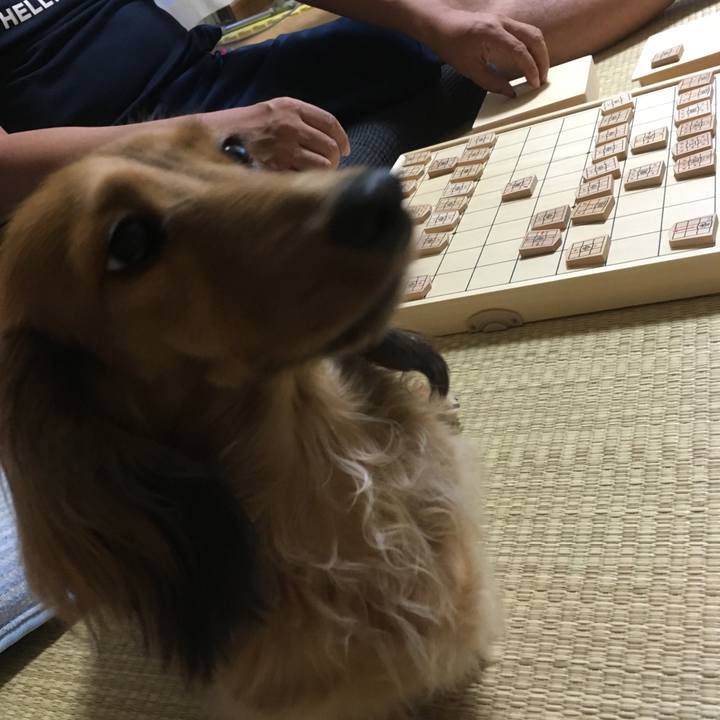 0f392fbf da34 4b56 b9d9 3b7537ac9a51