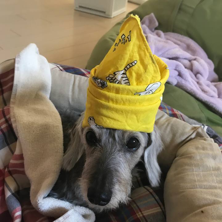 0f3ab651 07d6 406b a97c 6ad4b86d77fd