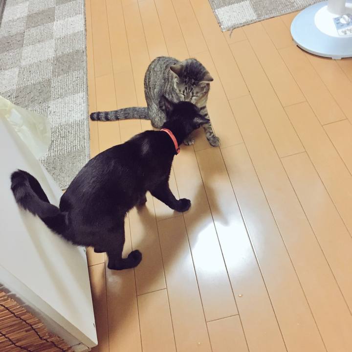 0f3b334e 0666 4b1f b7e6 07ed089d0f62