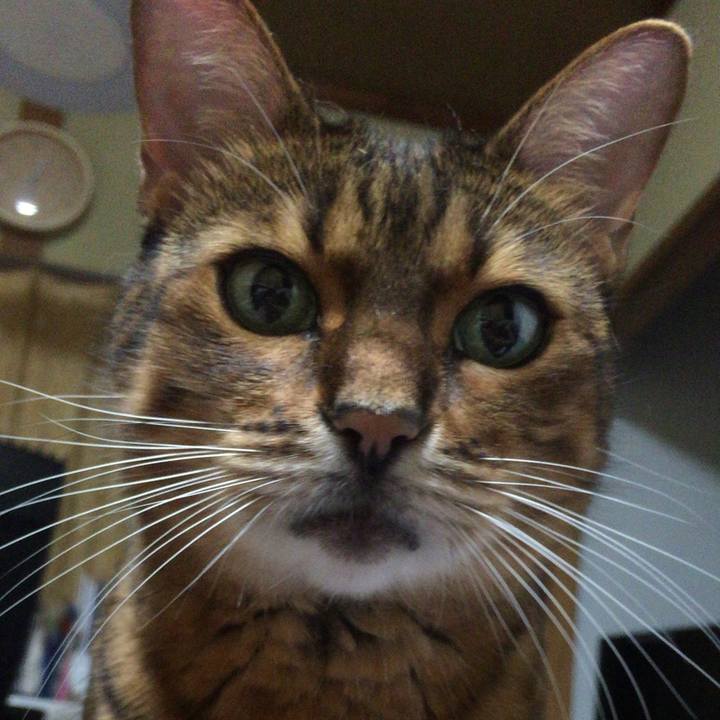 0f3bdf9c ed6d 4c48 ab32 24b80b93a530