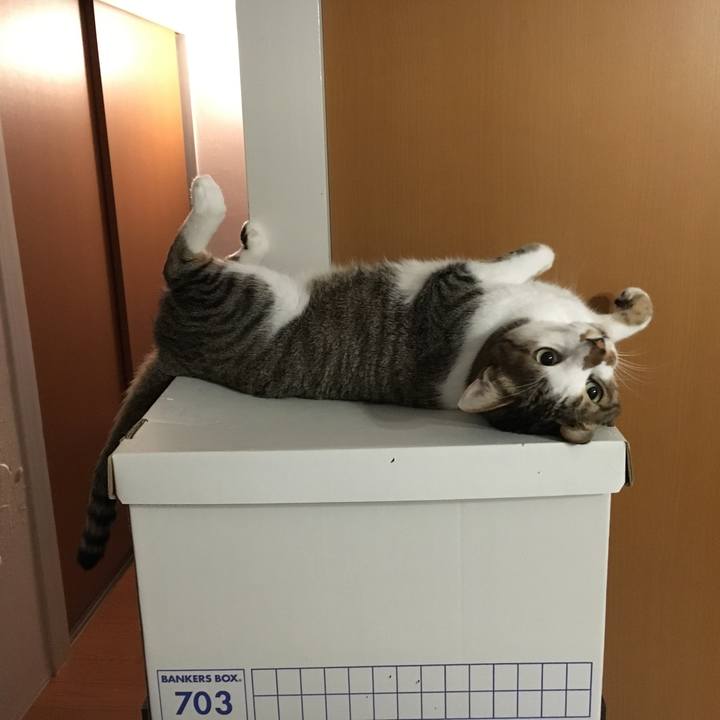 0f3bf360 438f 4b91 b1ba b70534183a1a