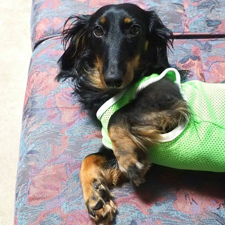 0f3c3ebe d36d 4329 bb24 6da1a3ea5162