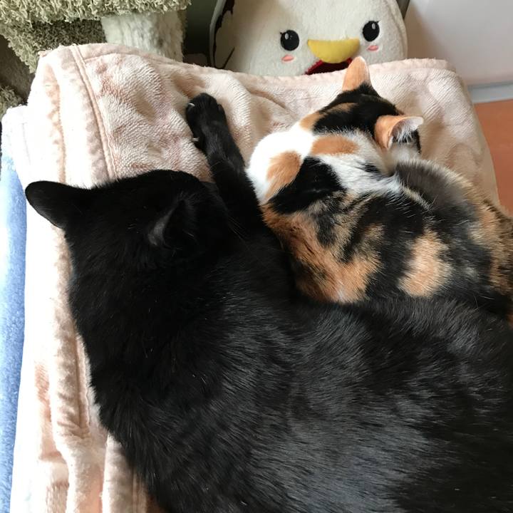 0f3d46d0 5019 44dc 8ec5 eba9fc2c32b4