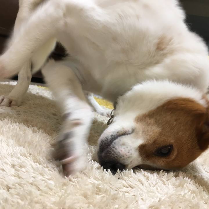 0f3dc90d ef09 49a5 a825 917d660b28ab