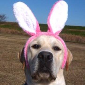 0f3e2cca 877d 41eb a06c 7dee303b5910