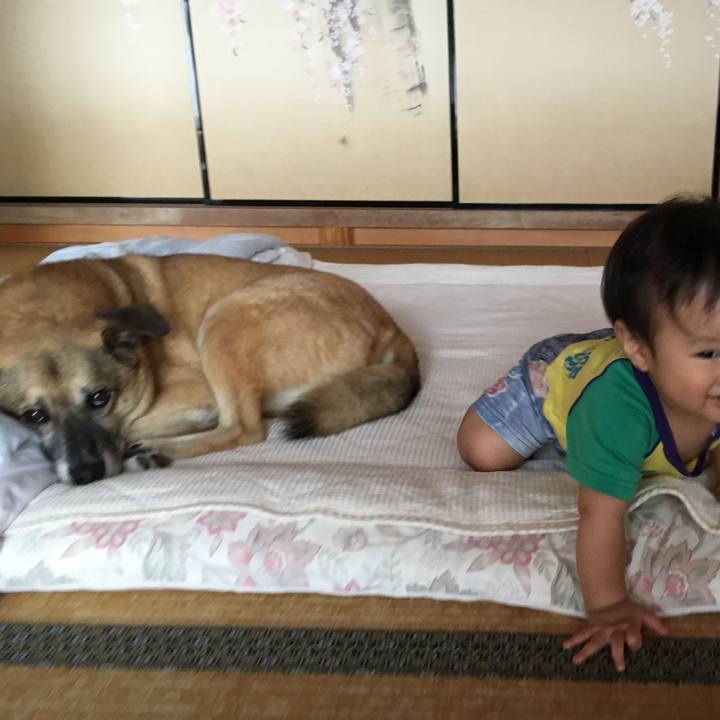 0f3e6424 9318 4600 b6ec cd5678ae4f60