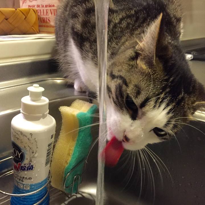 0f3f387c 8cd4 42d8 b2c0 4a25ad2b19ca