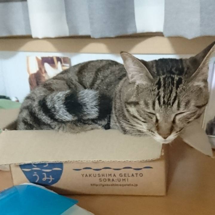 0f3f971a 9e7c 4253 b1f2 ec0291ec6762