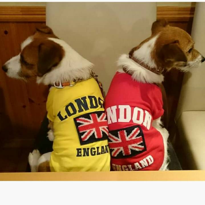 0f3fb657 9396 485b b287 434b5d1ffeb0