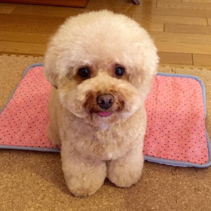 0f3fc8c2 d0da 4743 bfc1 3ac587cdf52b