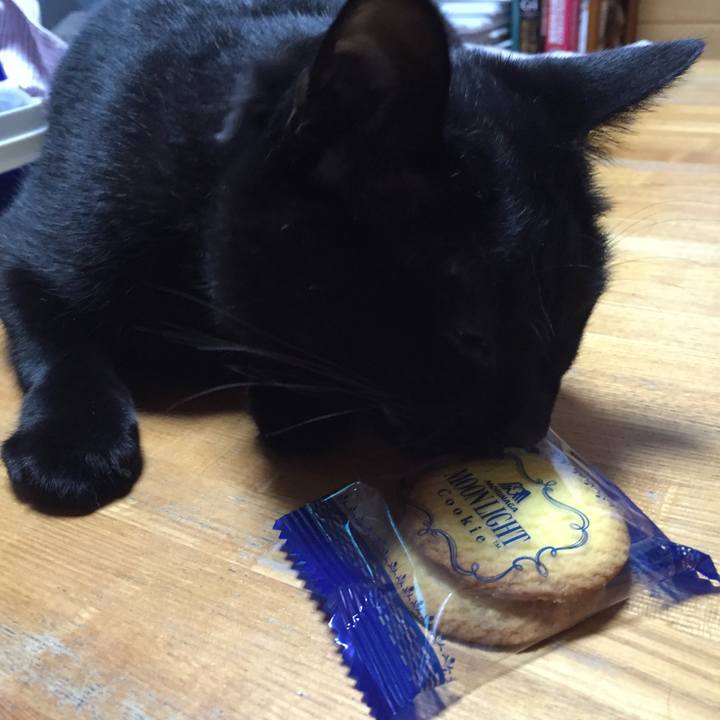 0f40238f d7cd 4b93 bb7c 6c6be690e348