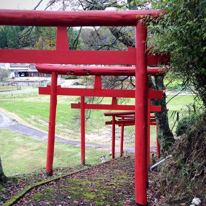 0f40b32d 6f7f 4562 93cd f72aa091e24f