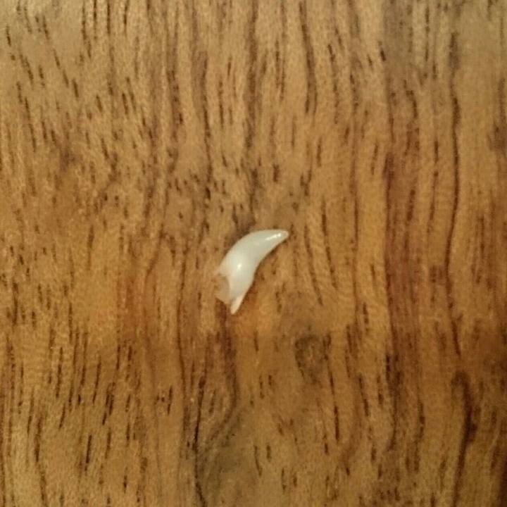 0f40d508 b608 4cff 8f06 0d4c9fc31524